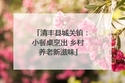 清丰县城关镇：小餐桌烹出 乡村养老新滋味