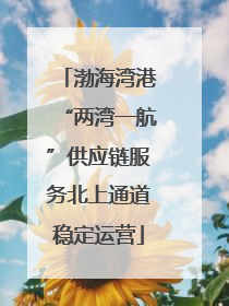 渤海湾港“两湾一航”供应链服务北上通道稳定运营