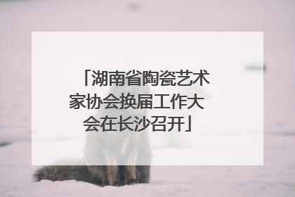 湖南省陶瓷艺术家协会换届工作大会在长沙召开
