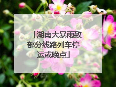 湖南大暴雨致部分线路列车停运或晚点