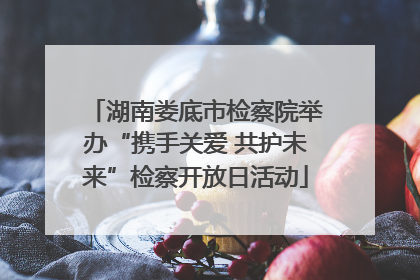 湖南娄底市检察院举办“携手关爱 共护未来”检察开放日活动