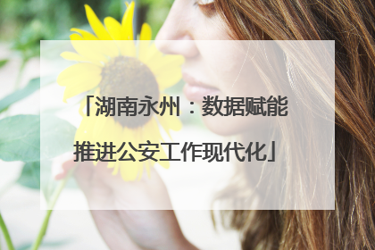 湖南永州：数据赋能推进公安工作现代化