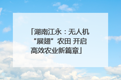 湖南江永：无人机“展翅”农田 开启高效农业新篇章