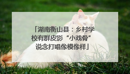 湖南衡山县：乡村学校有群皮影“小戏骨” 说念打唱像模像样