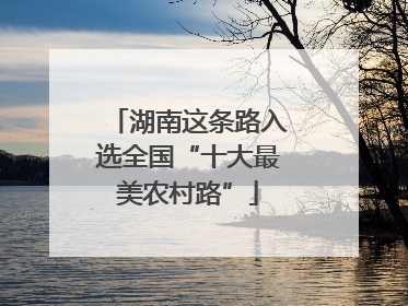 湖南这条路入选全国“十大最美农村路”