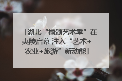 湖北“橘颂艺术季”在夷陵启幕 注入“艺术+农业+旅游”新动能