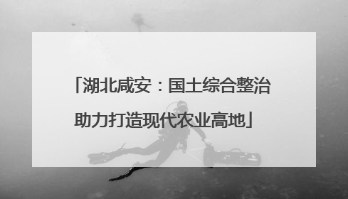 湖北咸安：国土综合整治助力打造现代农业高地