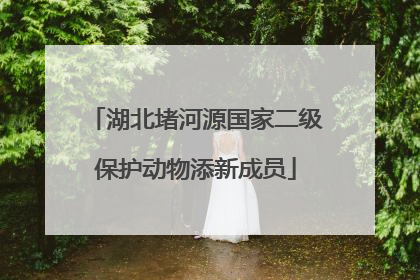 湖北堵河源国家二级保护动物添新成员