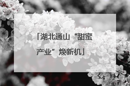 湖北通山“甜蜜产业”焕新机