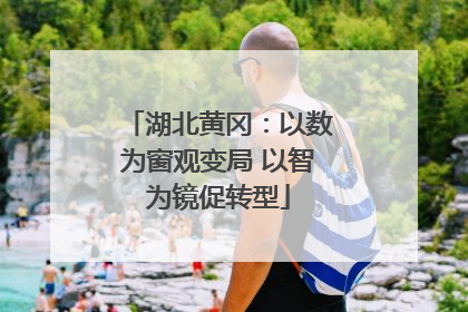 湖北黄冈：以数为窗观变局 以智为镜促转型