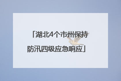 湖北4个市州保持防汛四级应急响应