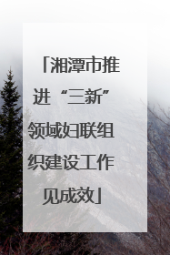 湘潭市推进“三新”领域妇联组织建设工作见成效