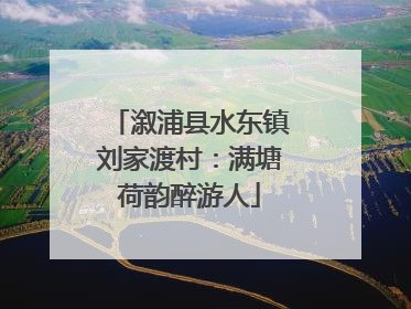 溆浦县水东镇刘家渡村：满塘荷韵醉游人