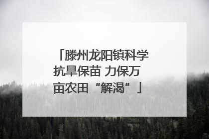 滕州龙阳镇科学抗旱保苗 力保万亩农田“解渴”