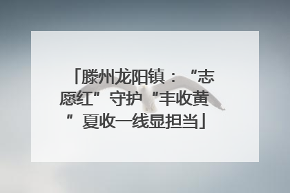滕州龙阳镇：“志愿红”守护“丰收黄”夏收一线显担当