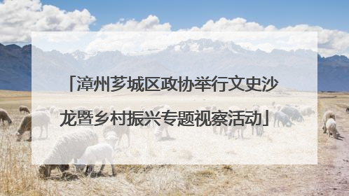 漳州芗城区政协举行文史沙龙暨乡村振兴专题视察活动