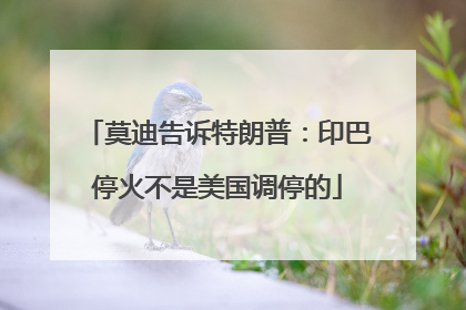 莫迪告诉特朗普：印巴停火不是美国调停的