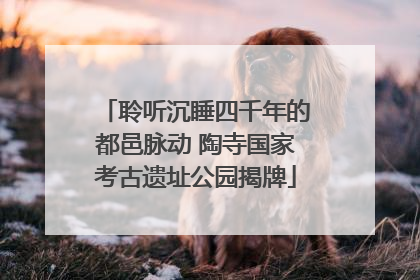 聆听沉睡四千年的都邑脉动 陶寺国家考古遗址公园揭牌