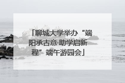 聊城大学举办“端阳承古意·助学启新程”端午游园会