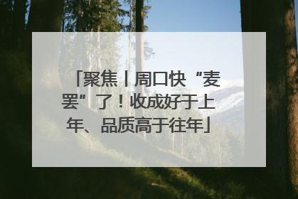 聚焦丨周口快“麦罢”了！收成好于上年、品质高于往年