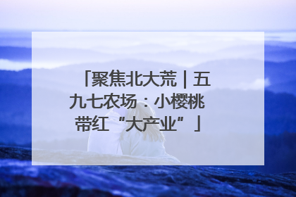聚焦北大荒｜五九七农场：小樱桃带红“大产业”