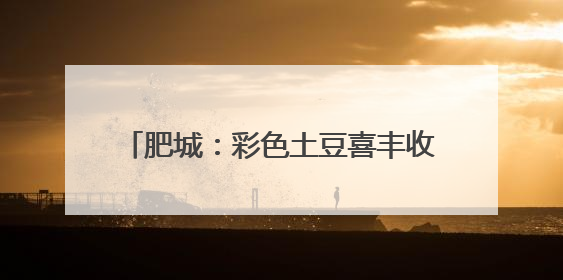 肥城：彩色土豆喜丰收，致富路上好“彩头”