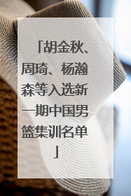 胡金秋、周琦、杨瀚森等入选新一期中国男篮集训名单