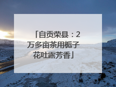 自贡荣县：2万多亩茶用栀子花吐露芳香
