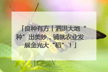 良种有方丨泗洪大地“种”出美妙，铺就农业发展金光大“稻”！