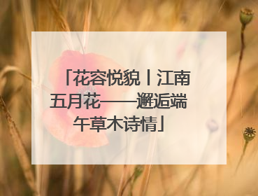 花容悦貌丨江南五月花——邂逅端午草木诗情