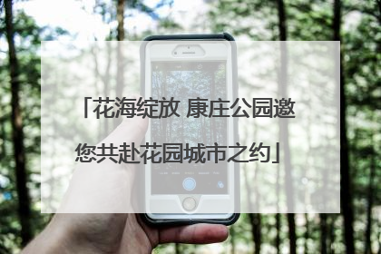 花海绽放 康庄公园邀您共赴花园城市之约