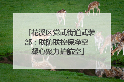 花溪区党武街道武装部：联防联控保净空 凝心聚力护航空