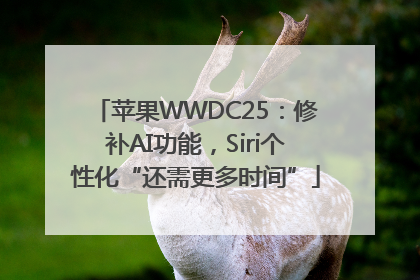苹果WWDC25：修补AI功能，Siri个性化“还需更多时间”