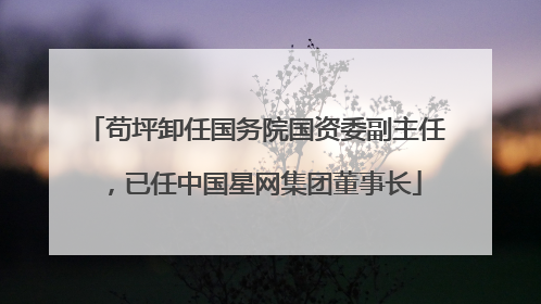 苟坪卸任国务院国资委副主任，已任中国星网集团董事长