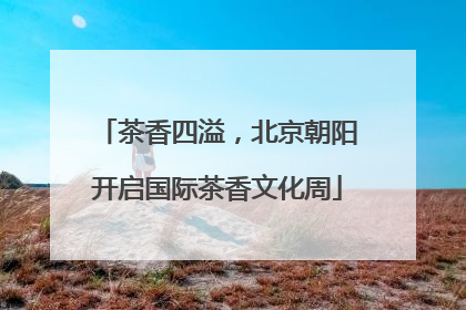 茶香四溢，北京朝阳开启国际茶香文化周