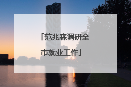 范兆森调研全市就业工作