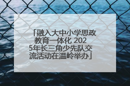 融入大中小学思政教育一体化 2025年长三角少先队交流活动在温岭举办