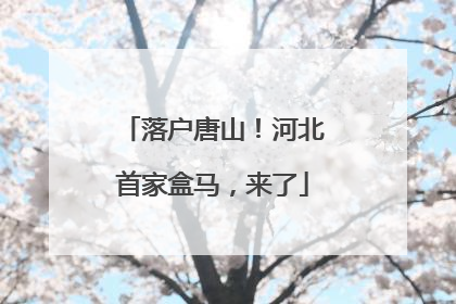 落户唐山！河北首家盒马，来了