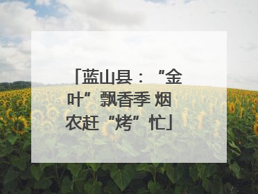 蓝山县：“金叶”飘香季 烟农赶“烤”忙
