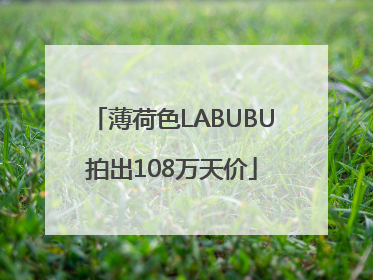 薄荷色LABUBU拍出108万天价