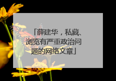 薛建华，私藏、浏览有严重政治问题的网络文章
