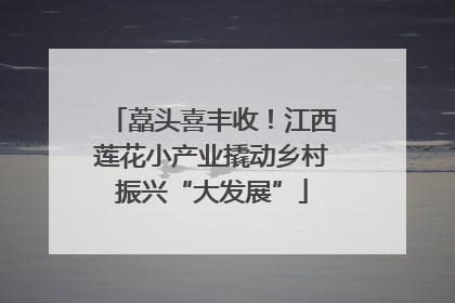 藠头喜丰收！江西莲花小产业撬动乡村振兴“大发展”