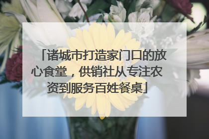 诸城市打造家门口的放心食堂，供销社从专注农资到服务百姓餐桌
