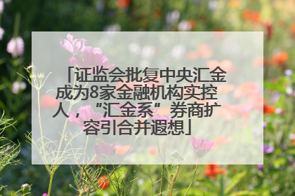 证监会批复中央汇金成为8家金融机构实控人，“汇金系”券商扩容引合并遐想