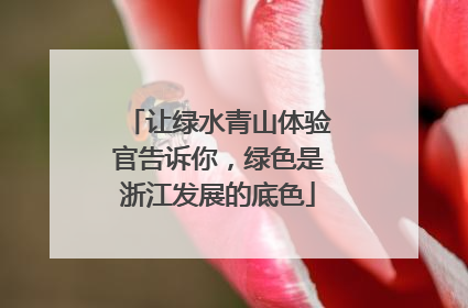 让绿水青山体验官告诉你，绿色是浙江发展的底色
