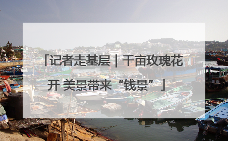 记者走基层｜千亩玫瑰花开 美景带来“钱景”