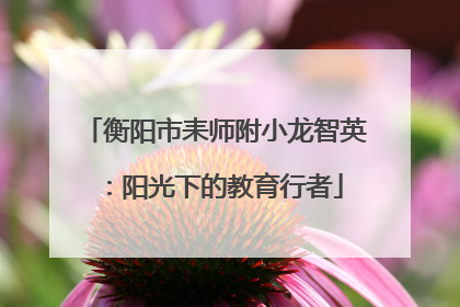 衡阳市耒师附小龙智英：阳光下的教育行者