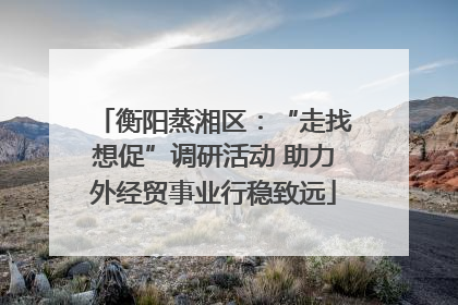 衡阳蒸湘区：“走找想促”调研活动 助力外经贸事业行稳致远