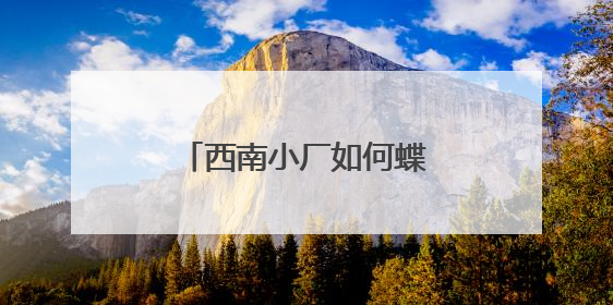 西南小厂如何蝶变为领军企业