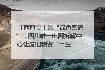 西博会上的“绿色密码”：四川唯一电网拆解中心让废旧物资“重生”｜西博寻“新”记